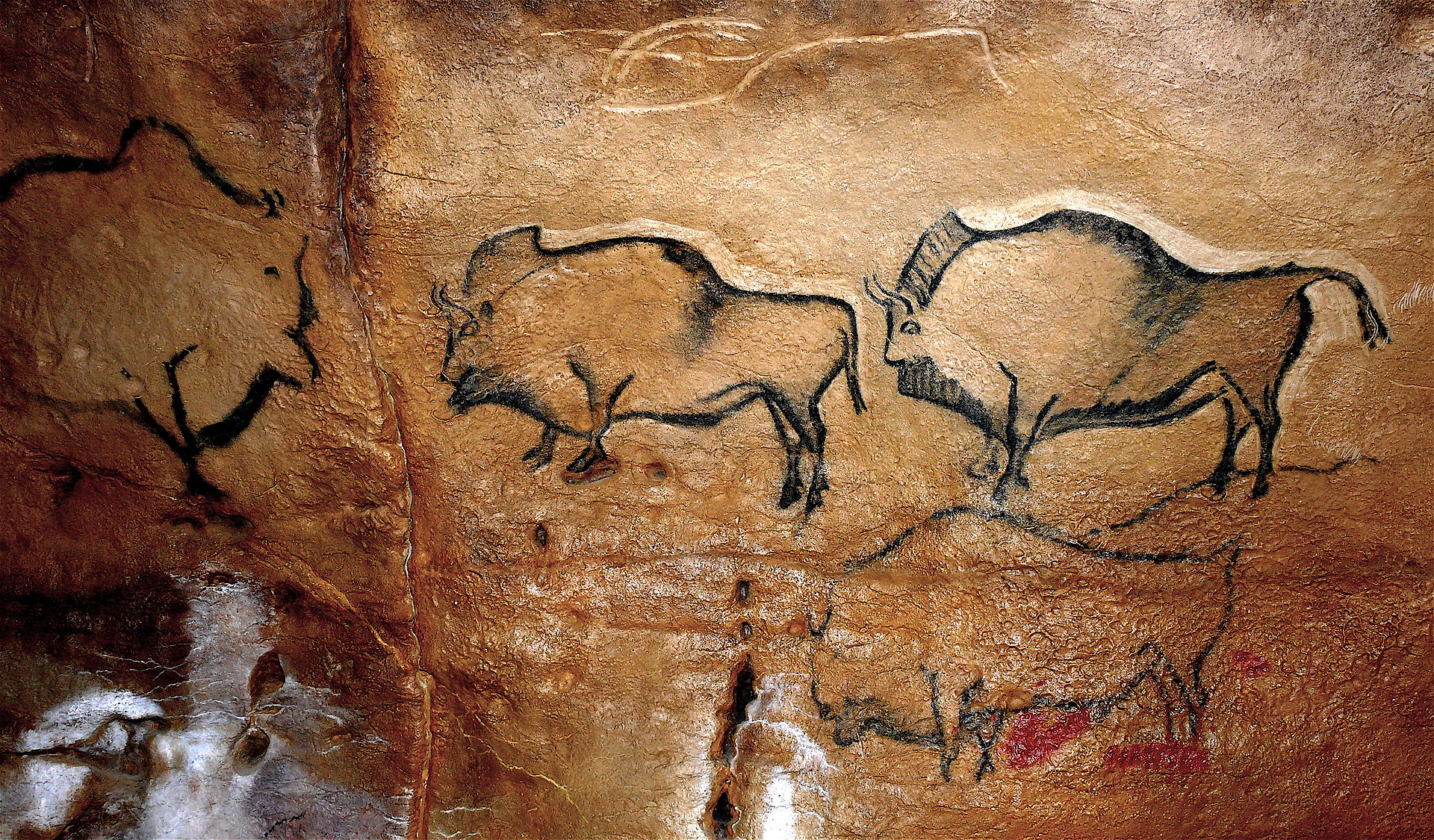 BMKTCN - ĐHXD - Hang động Altamira và Nghệ thuật hang động thời kỳ Đồ đá cũ  tại miền Bắc Tây Ban Nha